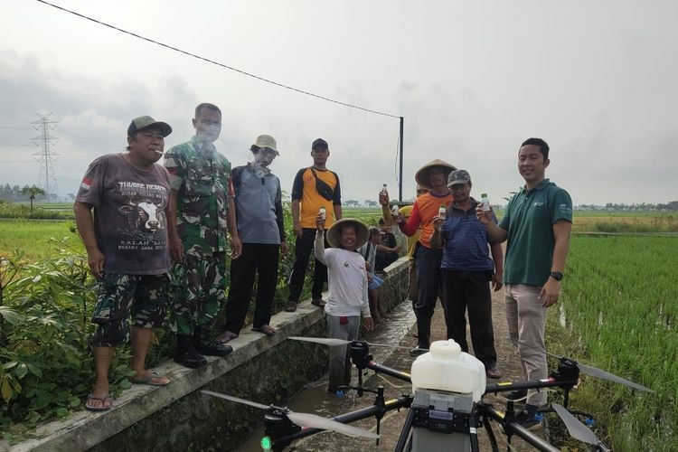 Drone di Desa Nampu untuk mengendalikan Hama Wereng Coklat di Area Persawahan setempat