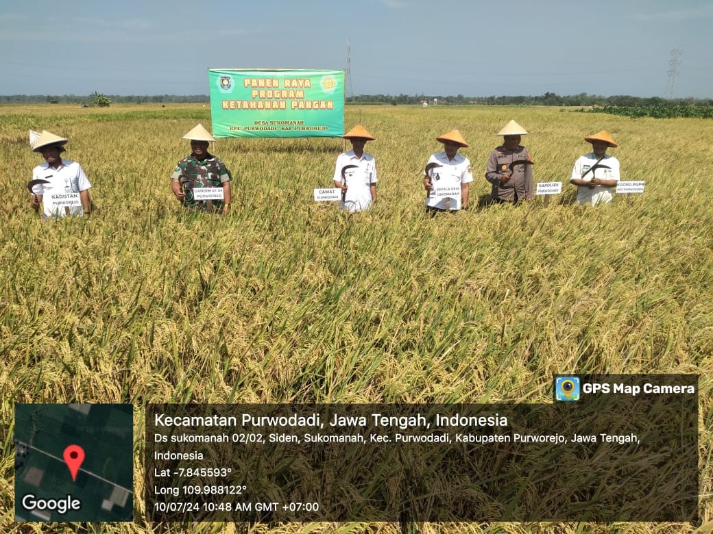 Panen Raya Tanaman Padi di Desa Sukomanah