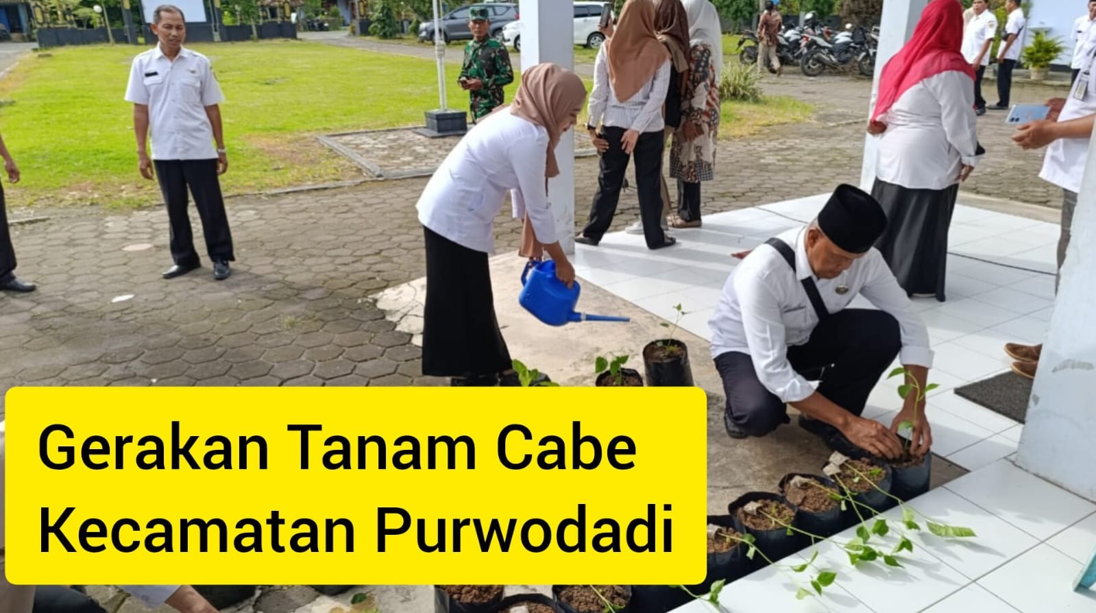 Gerakan Tanam Cabe di Kecamatan Purwodadi tanggal 22-01-2025