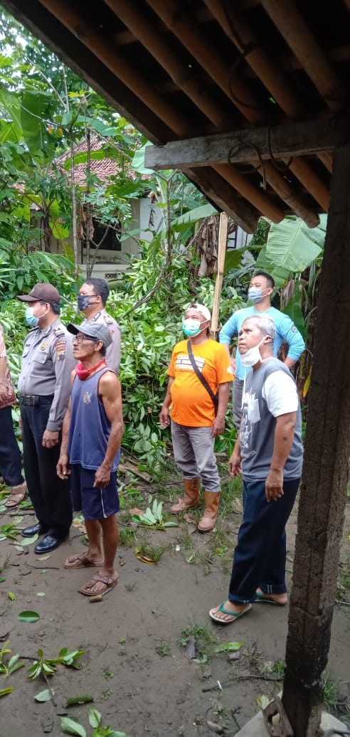 Penanganan dan Evakuasi Pohon Tumbang di Desa Purwosari Kecamatan Purwodadi.