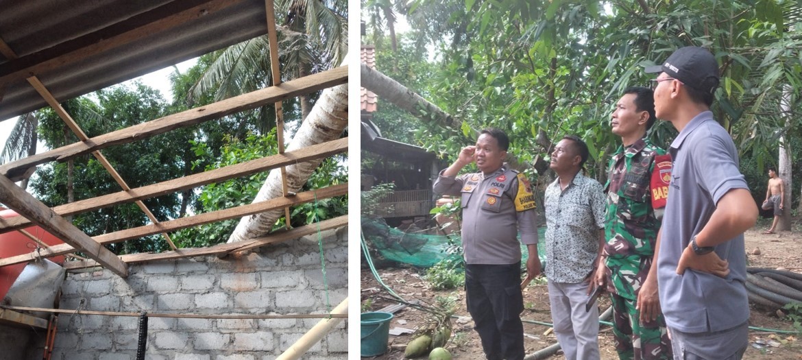 Monitoring dan Evakuasi Pohon Tumbang di Desa Blendung Kecamatan Purwodadi