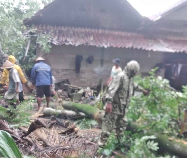 Monitoring dan Evakuasi Pohon Tumbang  di Desa Karangmulyo Kecamatan Purwodadi