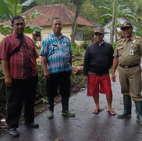 Cek Lokasi Pohon Tumbang di Desa Tlogorejo Kecamatan Purwodadi