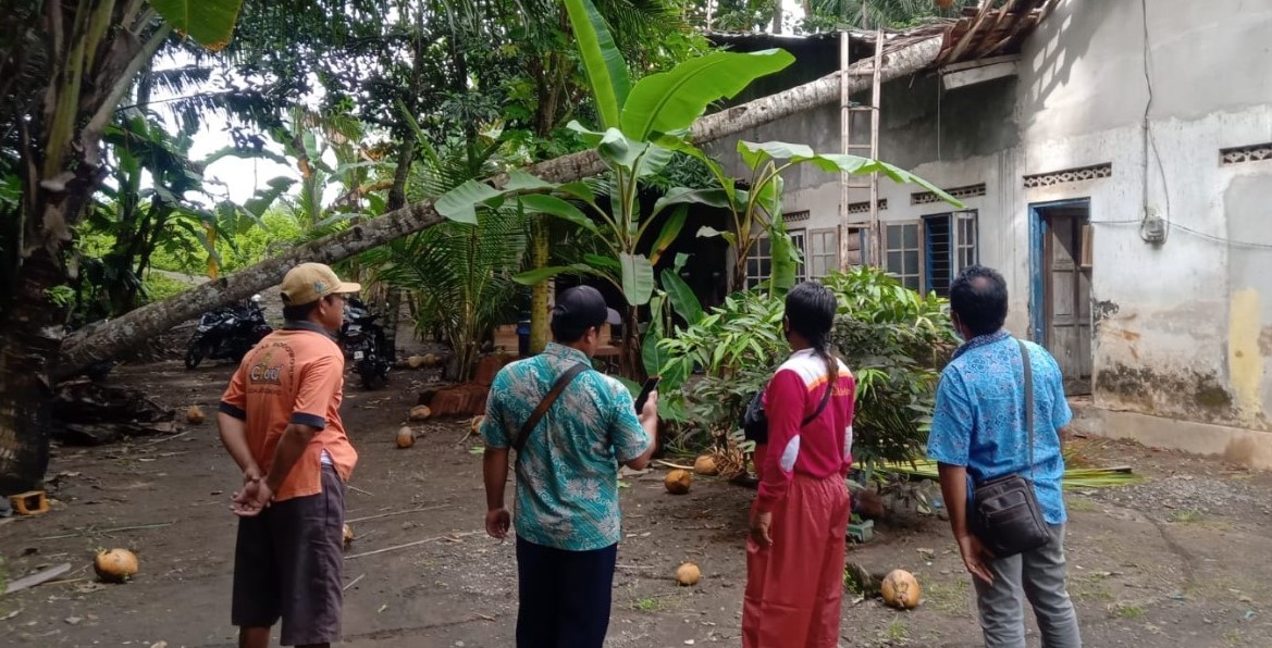 Monitoring Kejadian Musibah Pohon Tumbang di Desa Jogoboyo